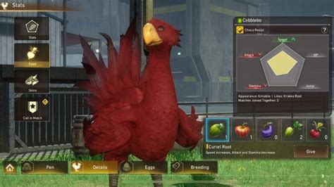 ff7 chocobo betting guide|ff7 chocobo feeding guide.